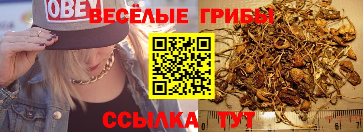 Галлюциногенные грибы Magic Shrooms  хочу наркоту  Галлюциногенные грибы Magic Shrooms  Красноперекопск  Вход с VPN 